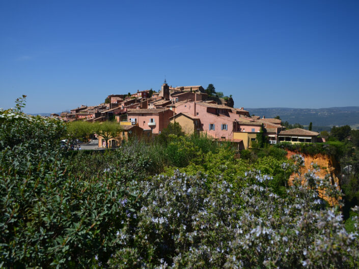 Vaucluse